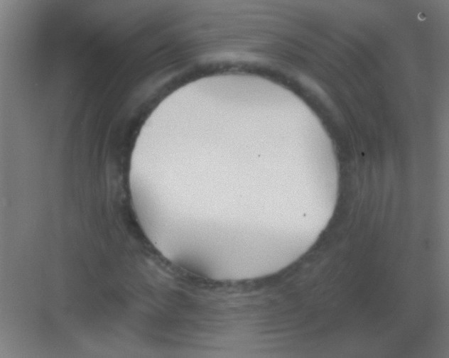 X0000081280872200702081950