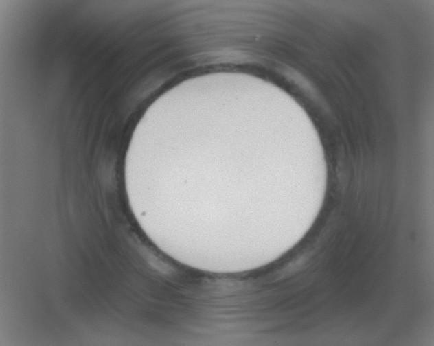 X0000081280873200702081950