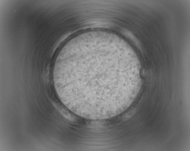 X0000081280875200702081950