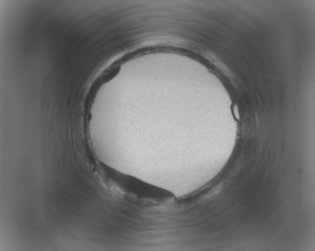 X0000081280877200702081950