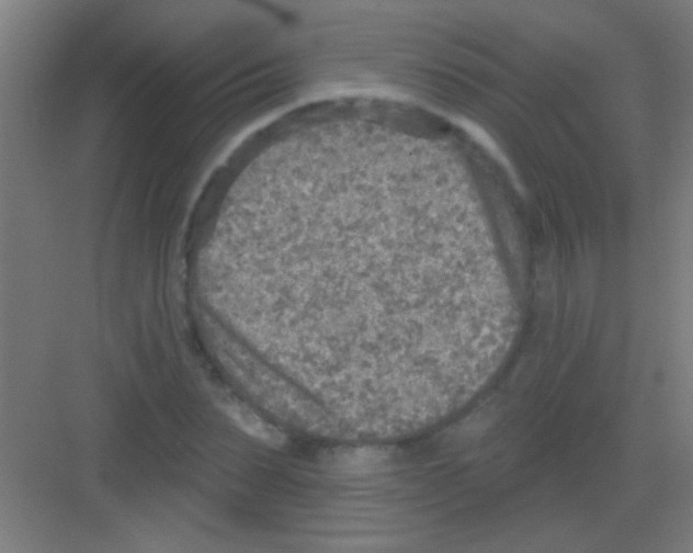 X0000081280879200702081950