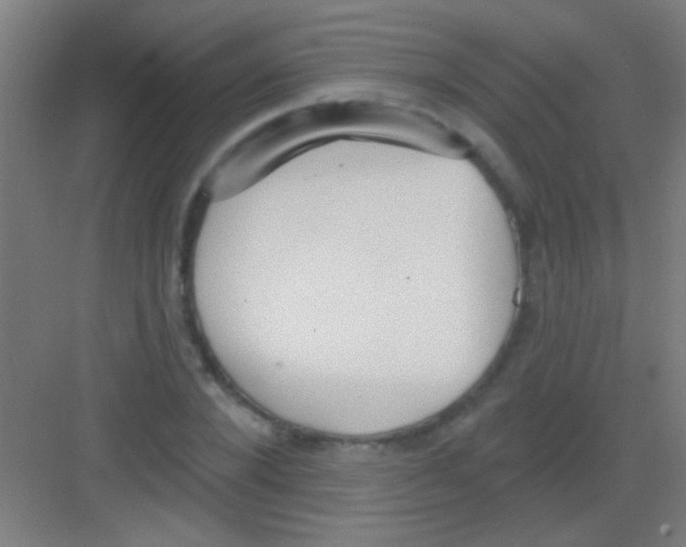 X0000081280880200702081950