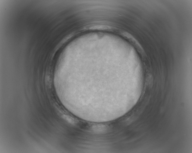 X0000081280882200702081950