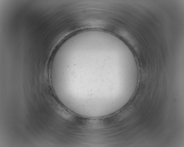 X0000081280883200702081950