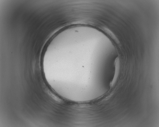 X0000081280884200702081950