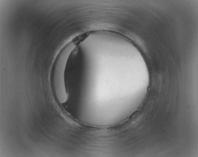 X0000081280885200702081950