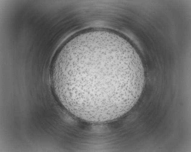 X0000081280887200702081950