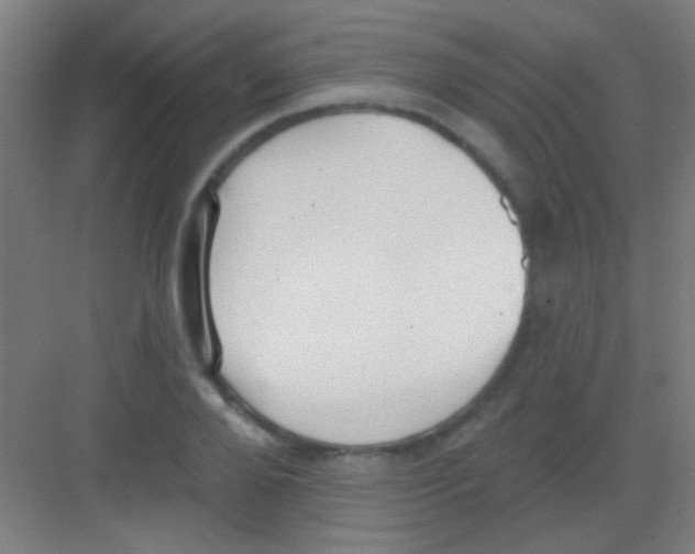 X0000081280888200702081950