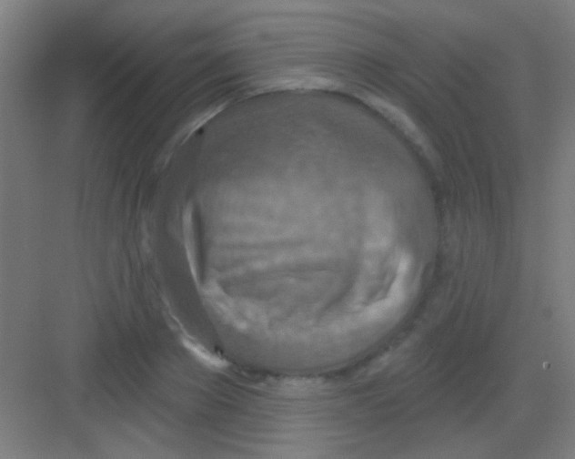 X0000081280889200702081950