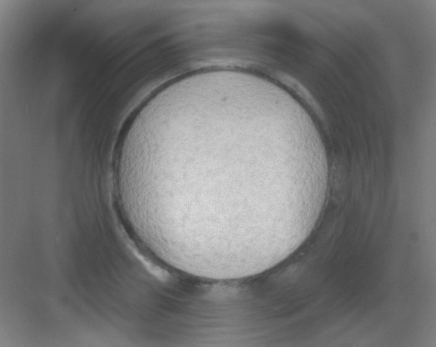 X0000081280890200702081950