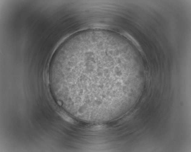 X0000081280891200702081950