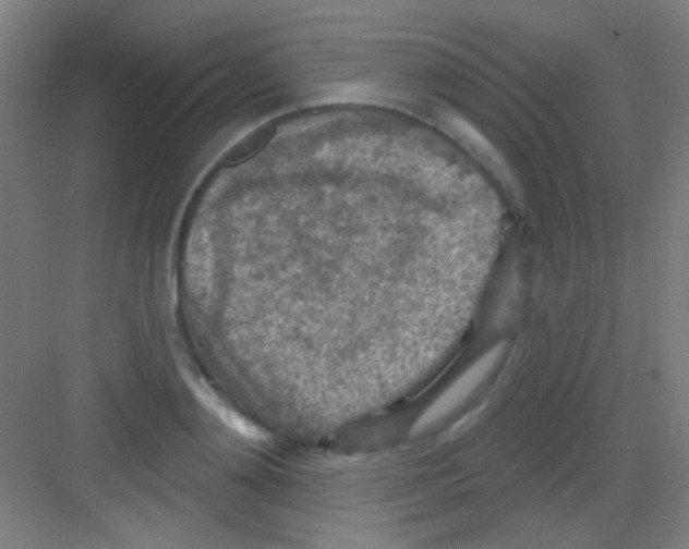 X0000081280892200702081950