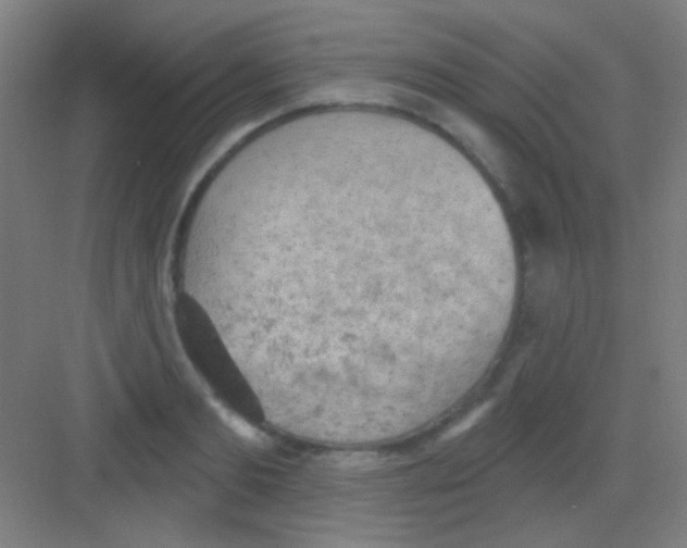 X0000081280893200702081950