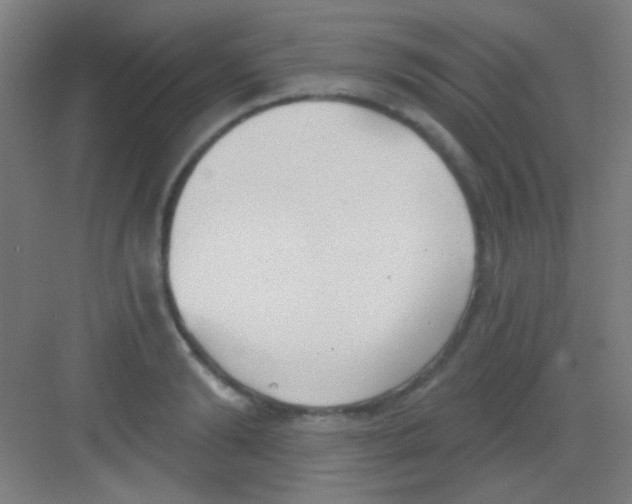 X0000081280894200702081950