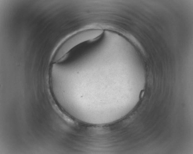 X0000081280896200702081950