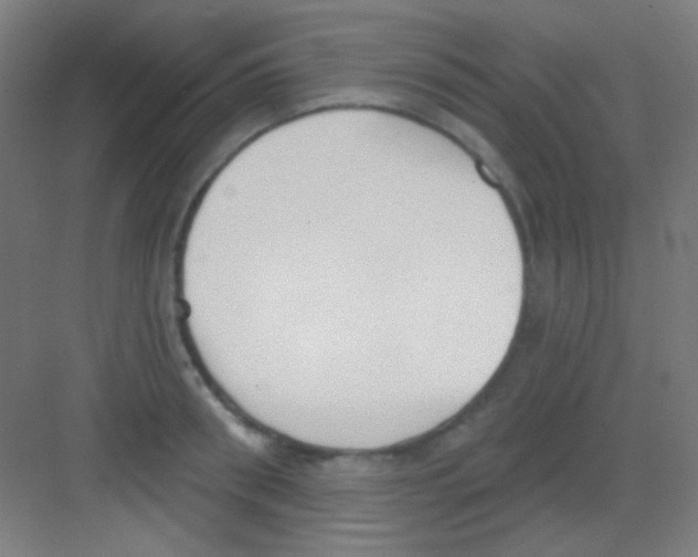 X0000081280898200702081949