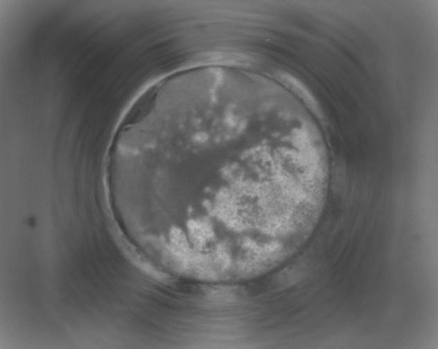 X0000081280899200702081949