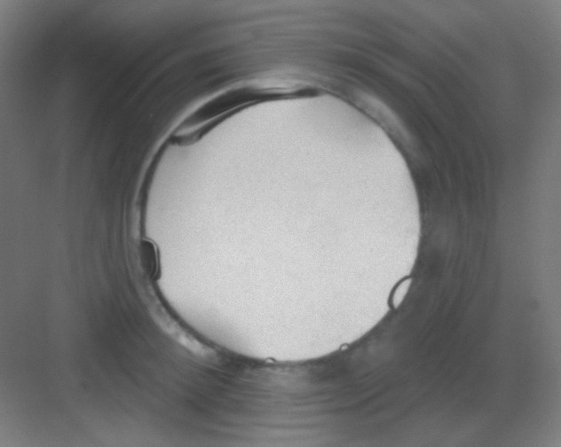 X0000081280900200702081949