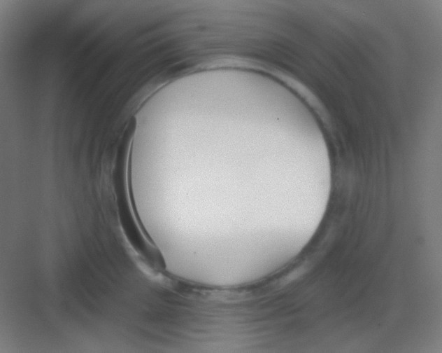 X0000081280905200702081949