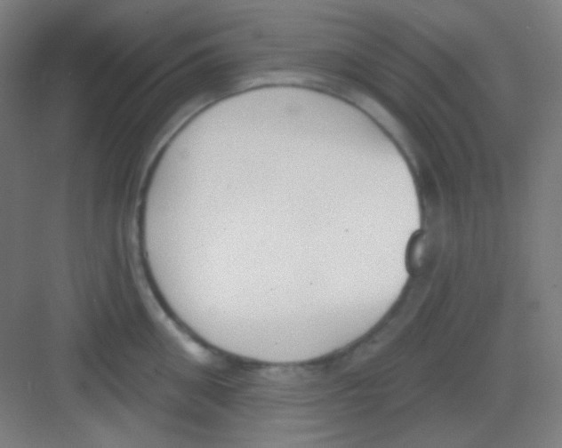 X0000081280906200702081949