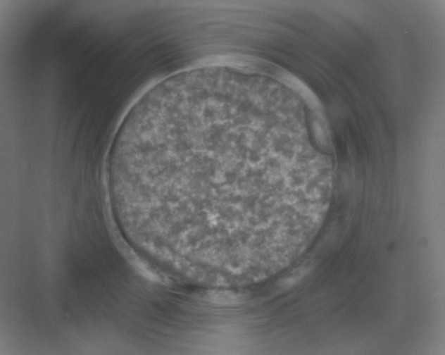 X0000081280907200702081949