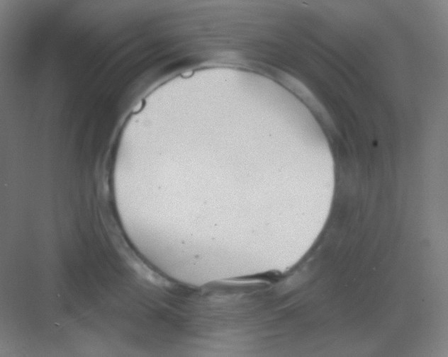 X0000081280908200702081949