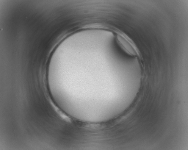 X0000081280909200702081949