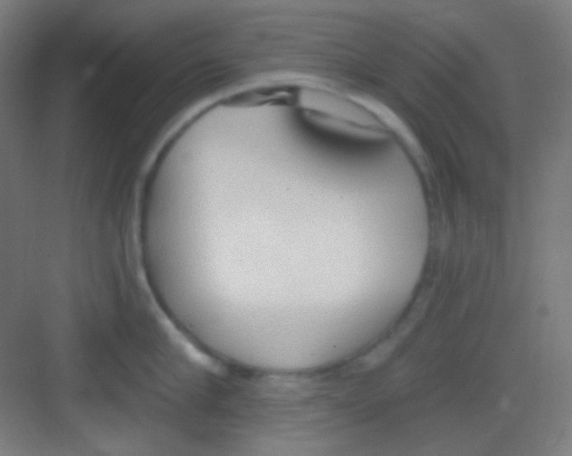 X0000081280910200702081949