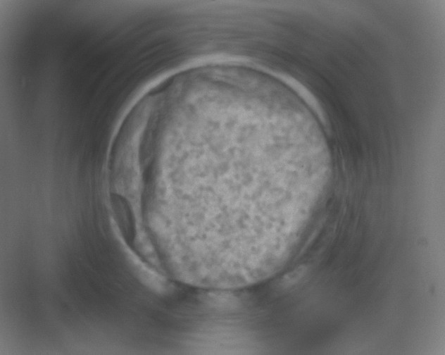 X0000081280911200702081949