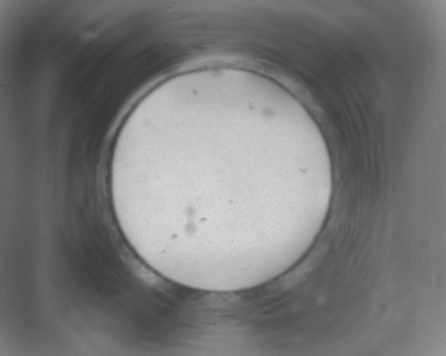 X0000081280912200702081949