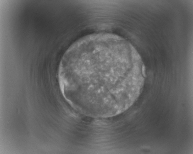 X0000081280913200702081948