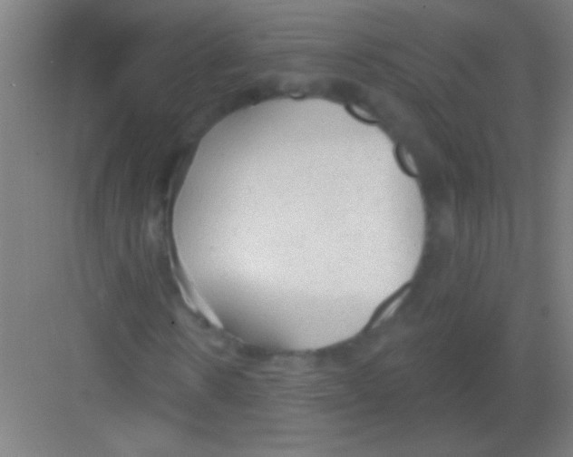 X0000081280914200702081948