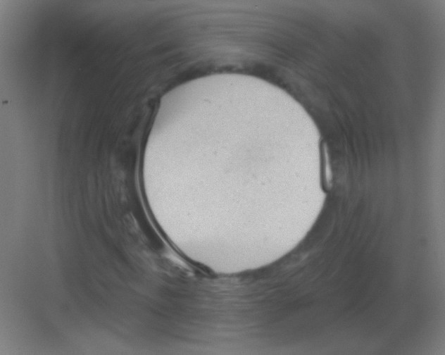 X0000081280916200702081948