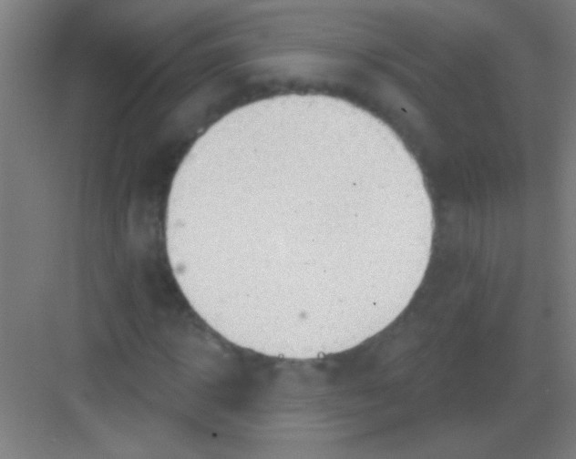 X0000081280918200702081949