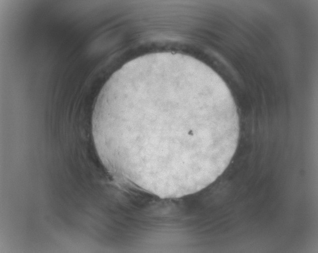 X0000081280919200702081949