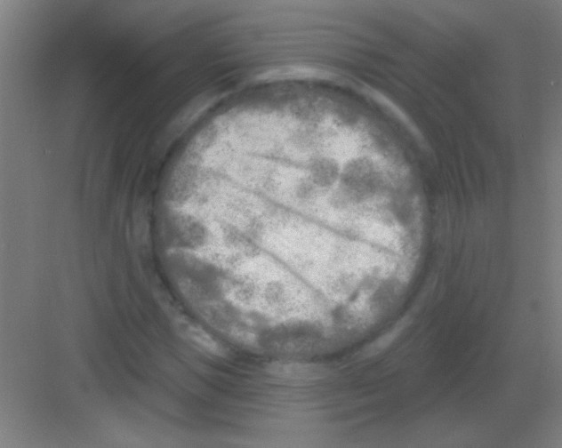 X0000081280921200702081949