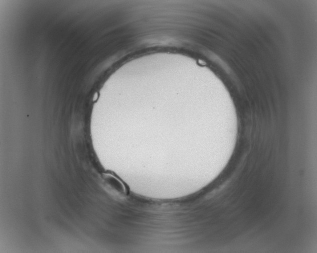 X0000081280922200702081949