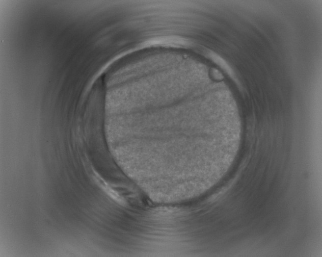 X0000081280923200702081949