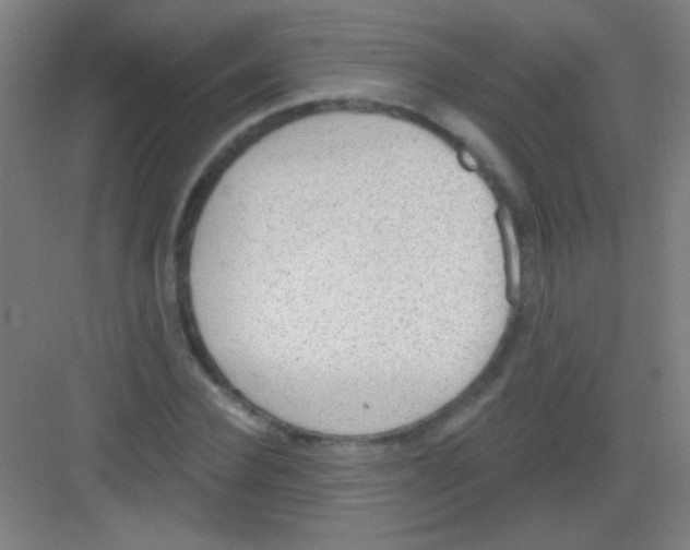 X0000081280924200702081949