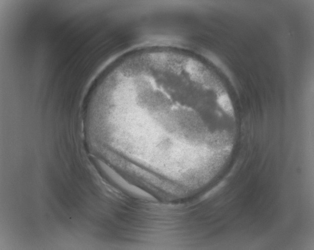 X0000081280925200702081949