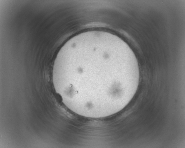 X0000081280929200702081949