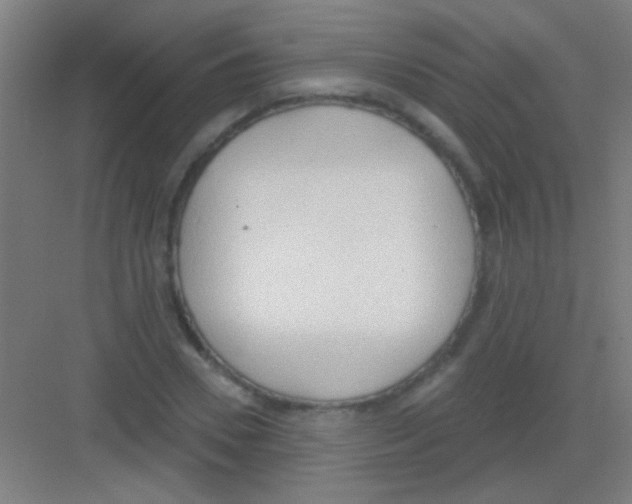 X0000081280930200702081949