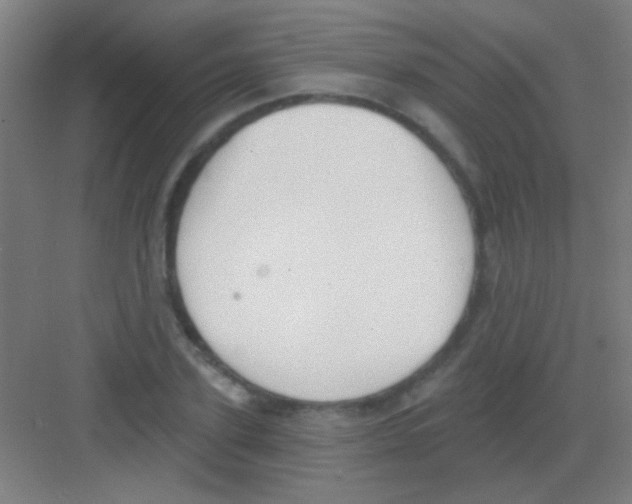 X0000081280931200702081949