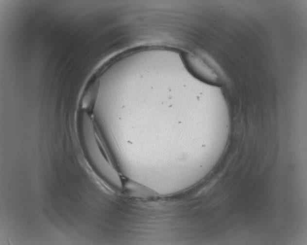 X0000081280932200702081949