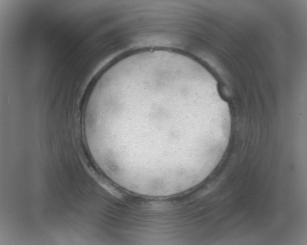 X0000081280933200702081949