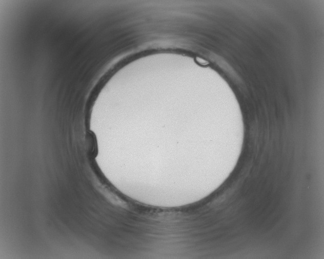 X0000081280934200702081949