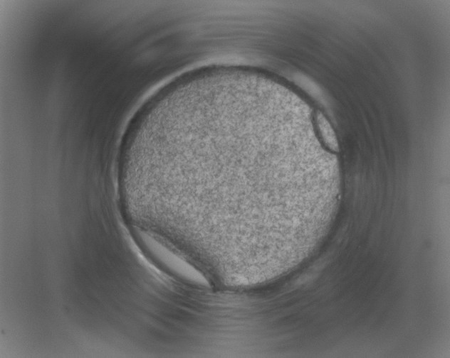 X0000081280935200702081949