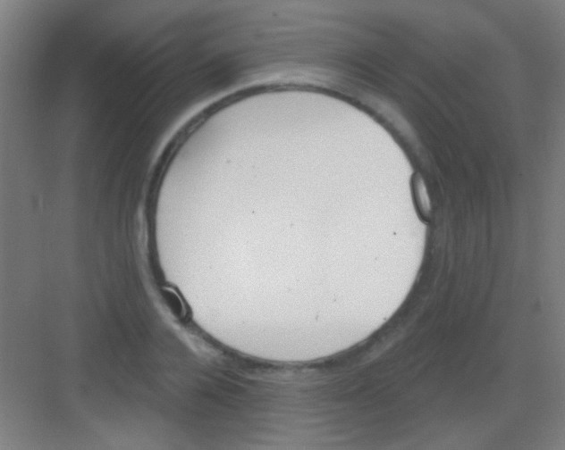 X0000081280936200702081949