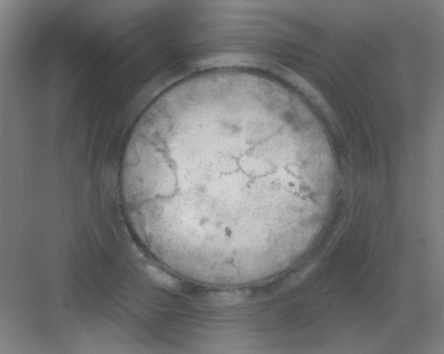 X0000081280937200702081949