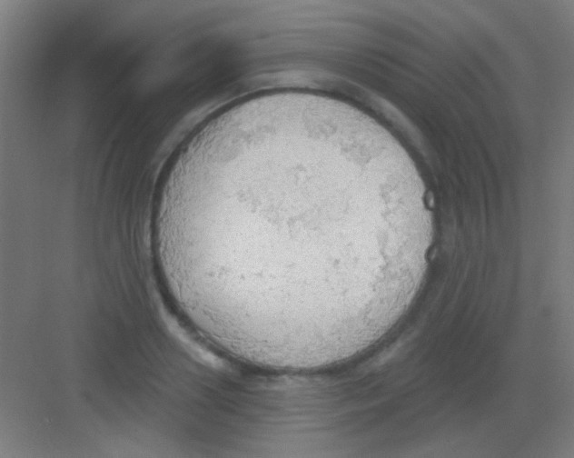 X0000081280938200702081949